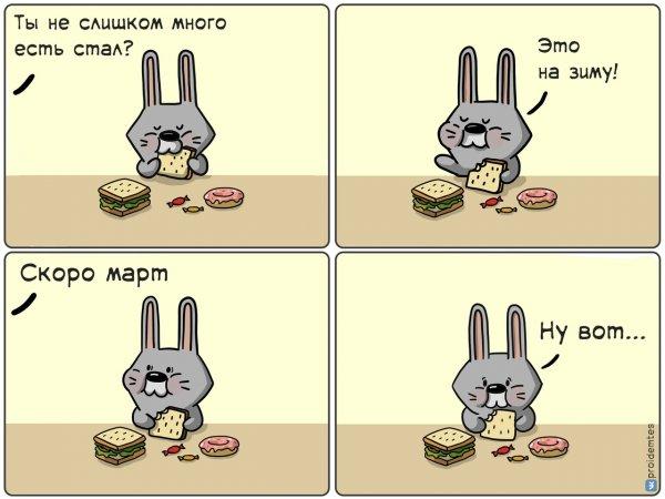 "Ну вот...": жизненный комикс про зайца, который вечно сталкивается с разочарованием (15 фото)